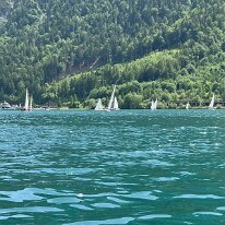 IMG_8768